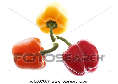 Sweet Peppers View Large Photo Image Stock Photo - Sweet Peppers. Fotosearch