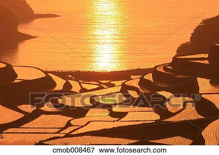 Terraced Rice Field, Japan View Large Photo Image Stock Photo - Terraced Rice Field, Japan. Fotosearch