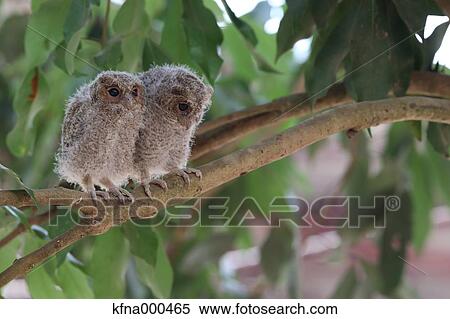 Thailand View Large Photo Image Stock Photography - Thailand. Fotosearch