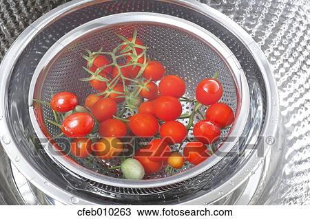 Washing cherry tomatoes View Large Photo Image Stock Image - Washing cherry tomatoes. Fotosearch