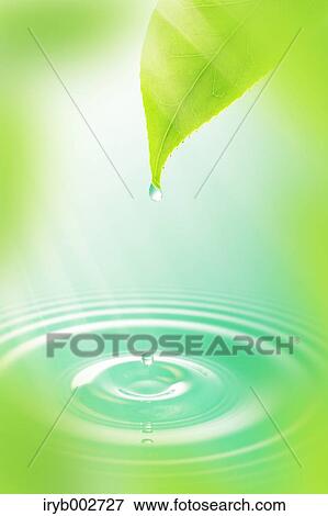 Water ripples and leaf View Large Photo Image Stock Photo - Water ripples and leaf. Fotosearch
