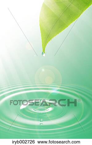 Stock Photograph - Water ripples and leaf. Fotosearch