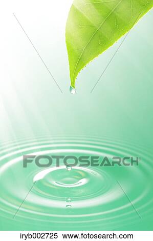 Stock Photography - Water ripples and leaf. Fotosearch