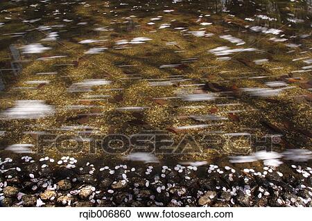 Water stream View Large Photo Image Stock Image - Water stream. Fotosearch