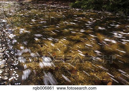 Water stream View Large Photo Image Stock Image - Water stream. Fotosearch
