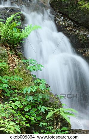 Waterfall and leaves View Large Photo Image Picture - Waterfall and leaves. Fotosearch