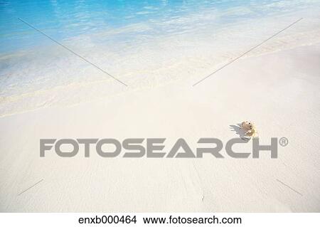 White sand beach View Large Photo Image Picture - White sand beach. Fotosearch