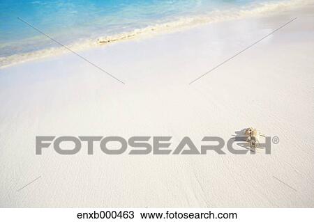 Stock Image - White sand beach. Fotosearch