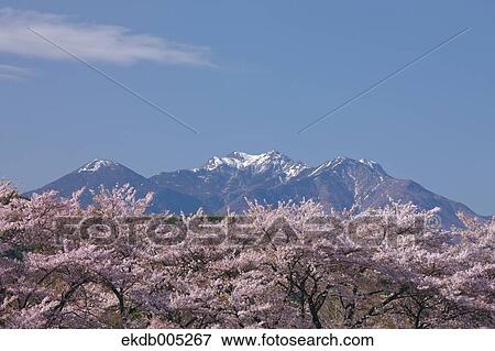 Yamanashi Prefecture, Japan View Large Photo Image Stock Photo - Yamanashi Prefecture, Japan. Fotosearch