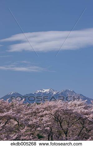 Yamanashi Prefecture, Japan View Large Photo Image Stock Photo - Yamanashi Prefecture, Japan. Fotosearch
