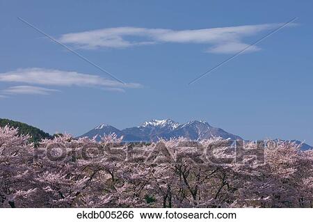 Yamanashi Prefecture, Japan View Large Photo Image Stock Photograph - Yamanashi Prefecture, Japan. Fotosearch