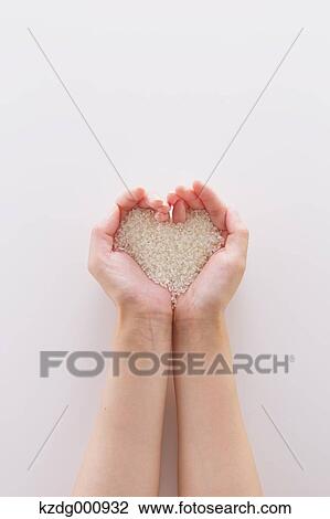 Young Japanese woman holding rice in her hands View Large Photo Image Stock Image - Young Japanese woman holding rice in her hands. Fotosearch