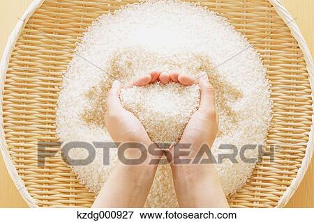 Young Japanese woman holding rice in her hands View Large Photo Image Stock Photo - Young Japanese woman holding rice in her hands. Fotosearch