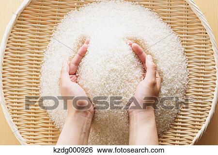 Young Japanese woman holding rice in her hands View Large Photo Image Stock Photograph - Young Japanese woman holding rice in her hands. Fotosearch