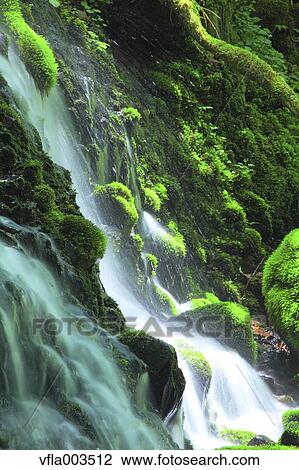 Akita Prefecture, Japan View Large Photo Image Stock Image - Akita Prefecture, Japan. Fotosearch