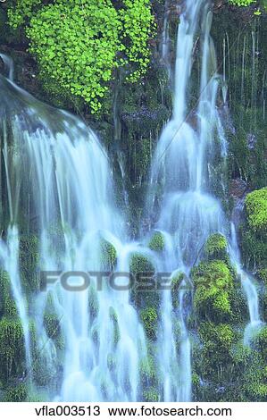 Akita Prefecture, Japan View Large Photo Image Stock Image - Akita Prefecture, Japan. Fotosearch