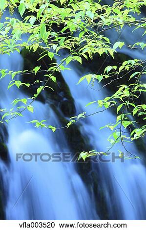 Akita Prefecture, Japan View Large Photo Image Stock Image - Akita Prefecture, Japan. Fotosearch
