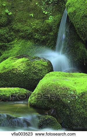 Akita Prefecture, Japan View Large Photo Image Stock Image - Akita Prefecture, Japan. Fotosearch