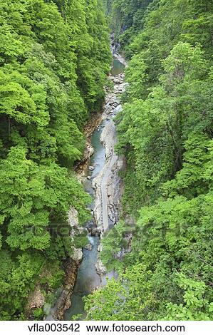 Stock Image - Akita Prefecture, Japan. Fotosearch