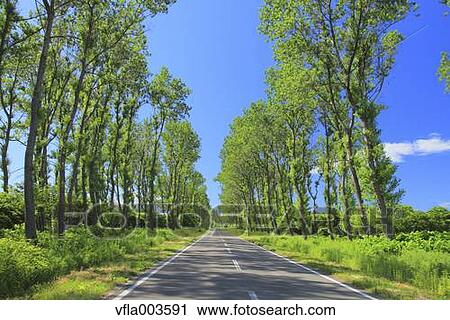 Akita Prefecture, Japan View Large Photo Image Stock Image - Akita Prefecture, Japan. Fotosearch