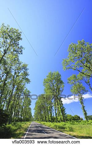Akita Prefecture, Japan View Large Photo Image Stock Image - Akita Prefecture, Japan. Fotosearch