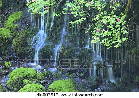 Akita Prefecture, Japan View Large Photo Image Stock Photo - Akita Prefecture, Japan. Fotosearch