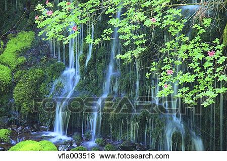 Akita Prefecture, Japan View Large Photo Image Stock Photo - Akita Prefecture, Japan. Fotosearch