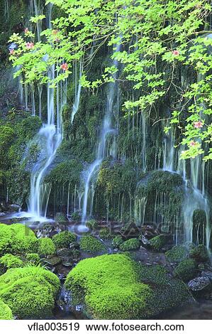 Akita Prefecture, Japan View Large Photo Image Stock Photo - Akita Prefecture, Japan. Fotosearch