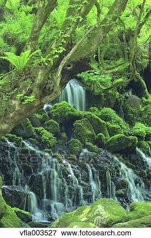 Akita Prefecture, Japan View Large Photo Image Stock Photo - Akita Prefecture, Japan. Fotosearch