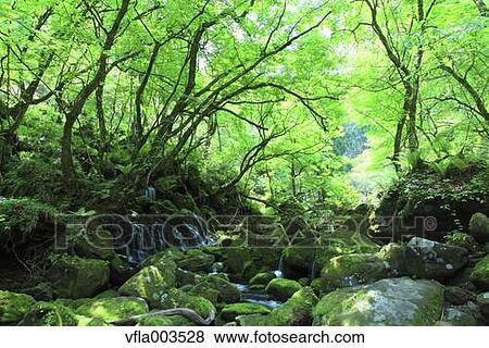 Akita Prefecture, Japan View Large Photo Image Stock Photo - Akita Prefecture, Japan. Fotosearch