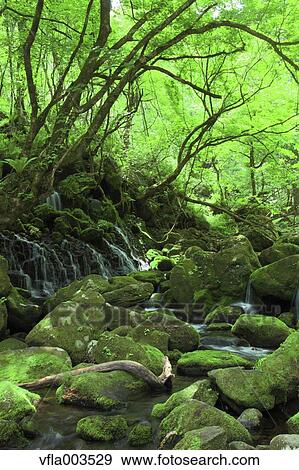 Akita Prefecture, Japan View Large Photo Image Stock Photo - Akita Prefecture, Japan. Fotosearch