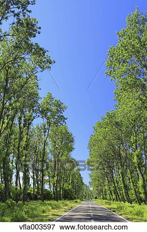 Stock Photo - Akita Prefecture, Japan. Fotosearch