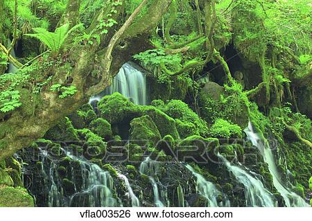 Akita Prefecture, Japan View Large Photo Image Stock Photograph - Akita Prefecture, Japan. Fotosearch