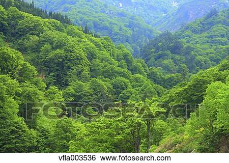 Akita Prefecture, Japan View Large Photo Image Stock Photograph - Akita Prefecture, Japan. Fotosearch
