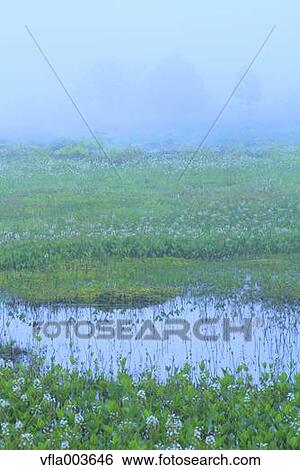 Stock Photograph - Akita Prefecture, Japan. Fotosearch