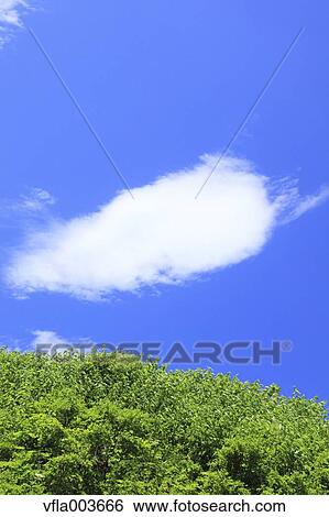Stock Photograph - Akita Prefecture, Japan. Fotosearch