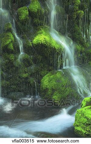 Akita Prefecture, Japan View Large Photo Image Stock Photography - Akita Prefecture, Japan. Fotosearch