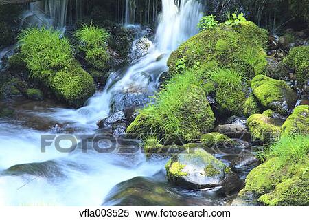 Akita Prefecture, Japan View Large Photo Image Stock Photography - Akita Prefecture, Japan. Fotosearch