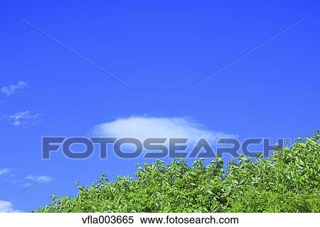 Stock Photography - Akita Prefecture, Japan. Fotosearch