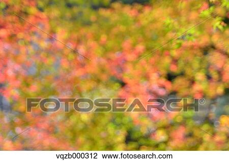 Blurred Autumn leaves View Large Photo Image Stock Image - Blurred Autumn leaves. Fotosearch