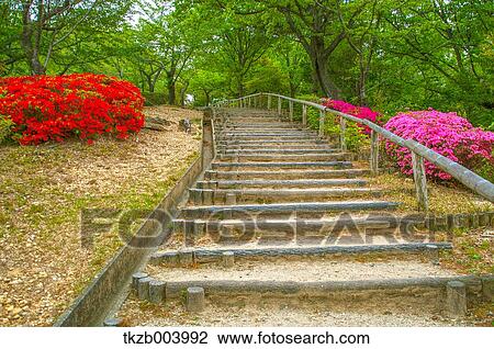 Stock Image - Botanical Garden. Fotosearch