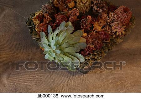 Dry flowers View Large Photo Image Stock Photography - Dry flowers. Fotosearch