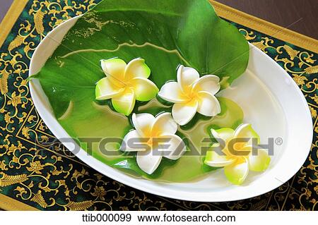 Stock Photo - Frangipani. Fotosearch