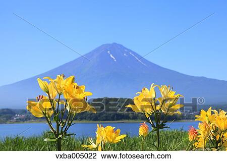 Fuji Five Lakes, Yamanashi Prefecture, Japan View Large Photo Image Stock Image - Fuji Five Lakes, Yamanashi Prefecture, Japan. Fotosearch