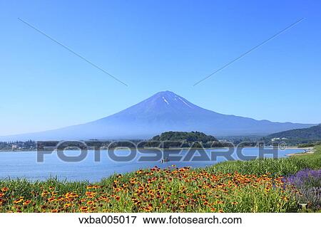 Fuji Five Lakes, Yamanashi Prefecture, Japan View Large Photo Image Stock Photo - Fuji Five Lakes, Yamanashi Prefecture, Japan. Fotosearch