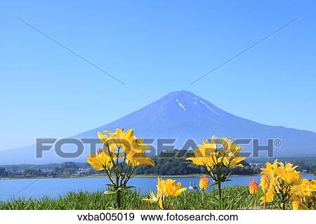 Fuji Five Lakes, Yamanashi Prefecture, Japan View Large Photo Image Stock Photo - Fuji Five Lakes, Yamanashi Prefecture, Japan. Fotosearch
