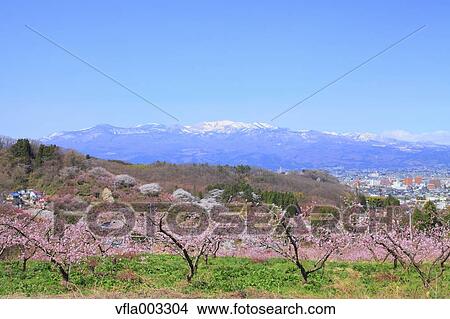 Fukushima Prefecture, Japan View Large Photo Image Picture - Fukushima Prefecture, Japan. Fotosearch