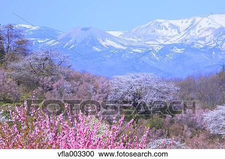 Fukushima Prefecture, Japan View Large Photo Image Stock Image - Fukushima Prefecture, Japan. Fotosearch
