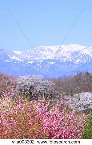 Stock Image - Fukushima Prefecture, Japan. Fotosearch