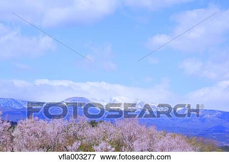 Fukushima Prefecture, Japan View Large Photo Image Stock Photo - Fukushima Prefecture, Japan. Fotosearch